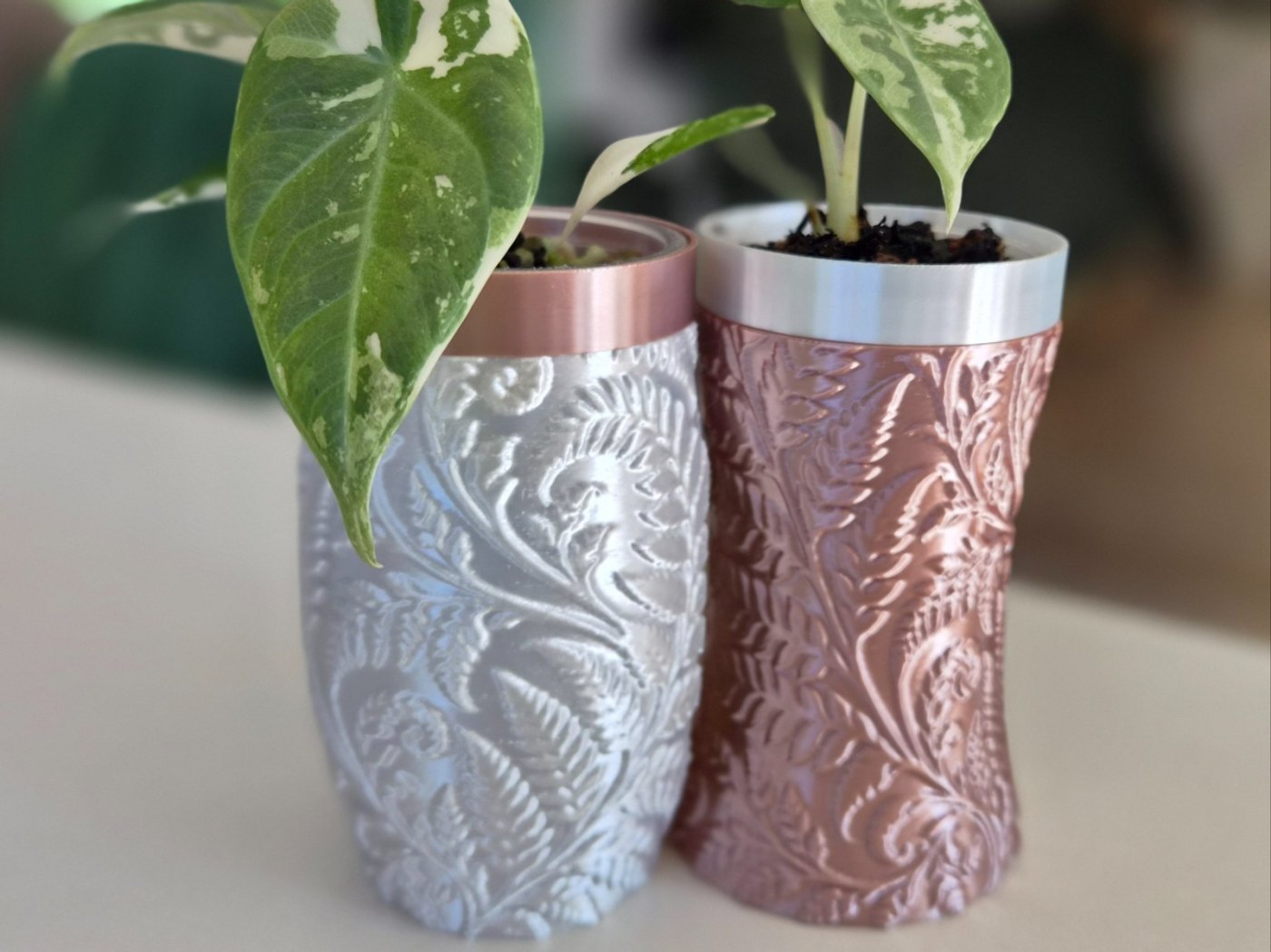 Eğrelti Desenli Mini Saksı Seti (2'li) - 3D Baskı