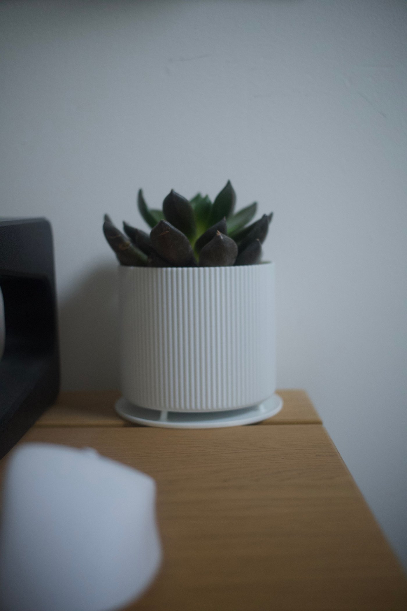 Oluklu Masa Üstü Saksı - Modern Minimal Tasarım