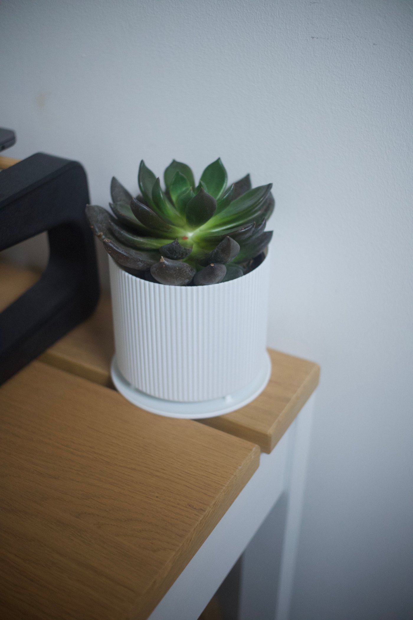 Oluklu Masa Üstü Saksı - Modern Minimal Tasarım