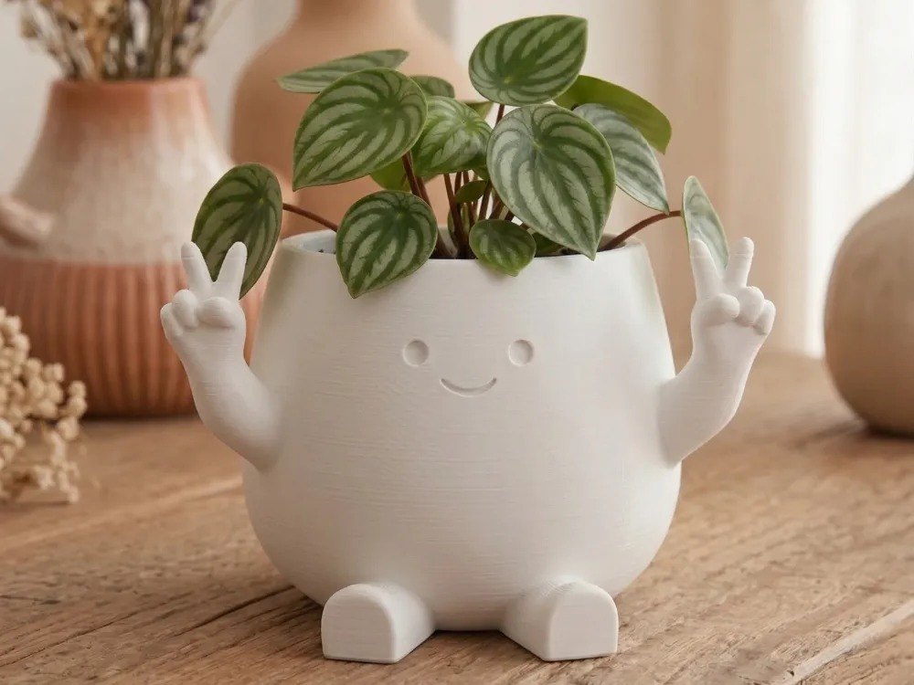 Barış İşareti Yapan Sevimli Saksı - Kawaii Mini Sukulent Saksısı