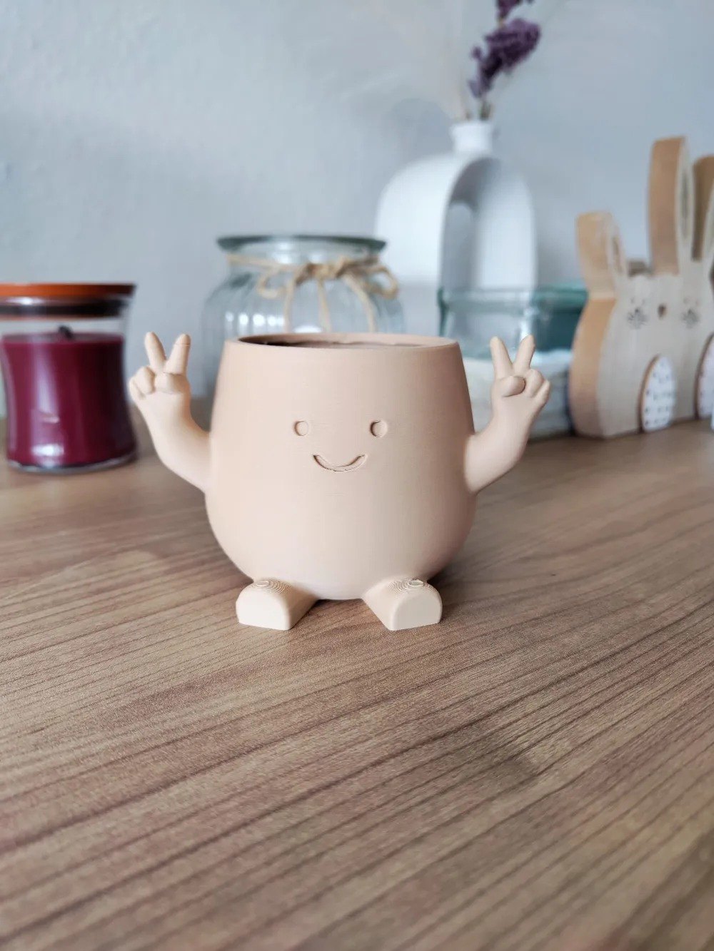 Barış İşareti Yapan Sevimli Saksı - Kawaii Mini Sukulent Saksısı